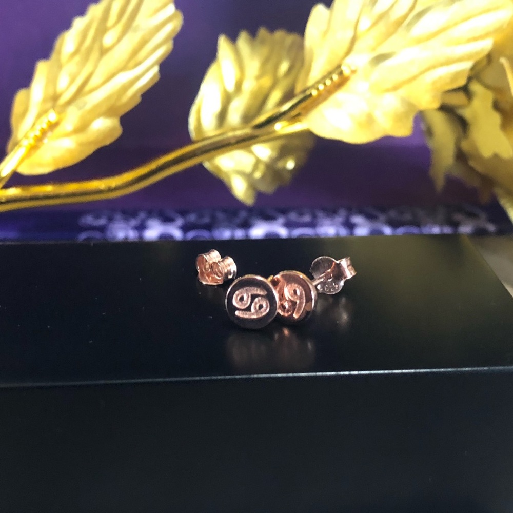 Sterling Silver CANCER Earrings Rose Gold Plated